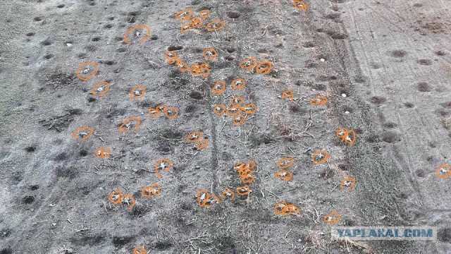 Операция возмездия!