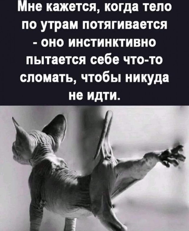 Картинки и мемы, всяко - 169