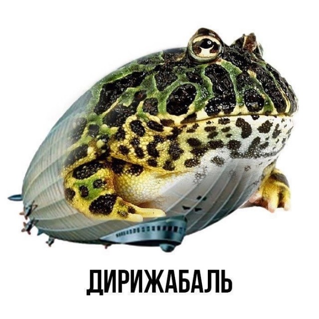 Прикольные и просто красивые картинки 28.07.2023