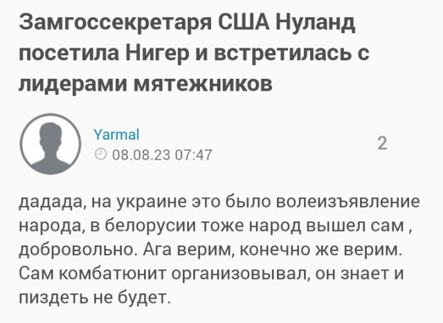Замгоссекретаря США Нуланд посетила Нигер и встретилась с лидерами мятежников
