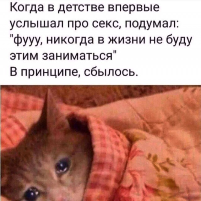 Так себе картинки 09.10.23