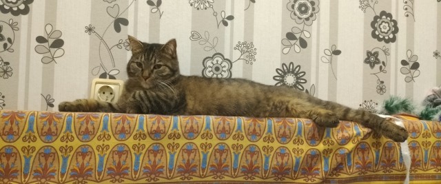Дёмка вас желает видеть