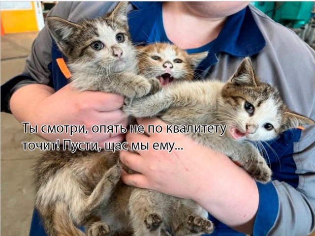 Самые лучшие помощники