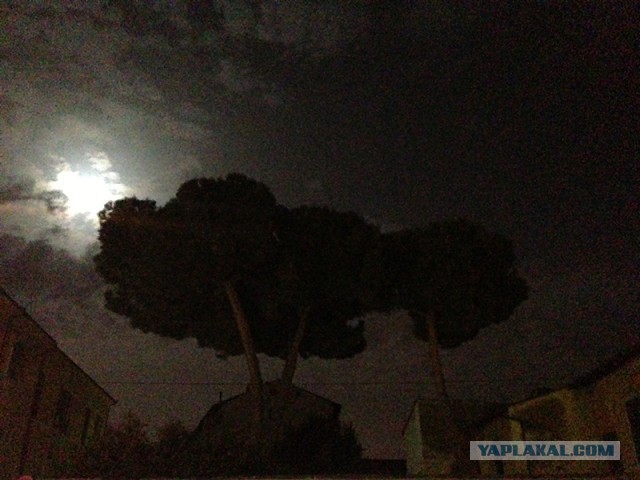 Я гонец из Пизы!