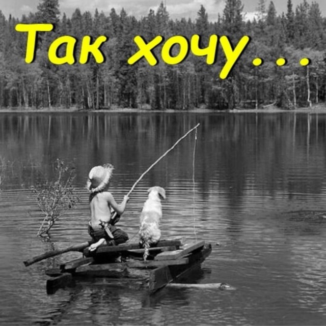 Так себе картинки 29.03.24