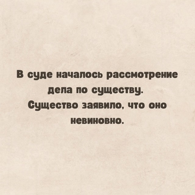 Весёлый полтишок 02.04.24