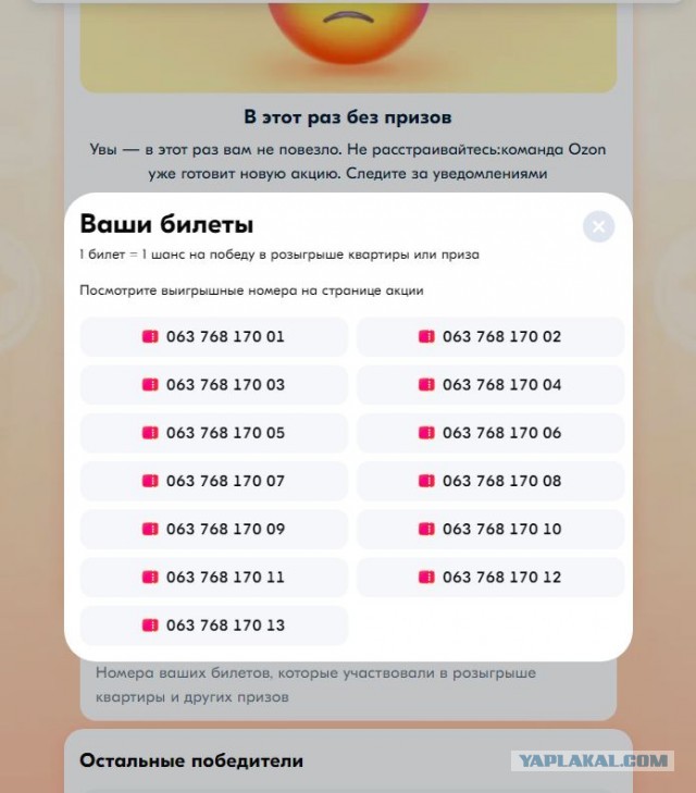 Ozoн, призы