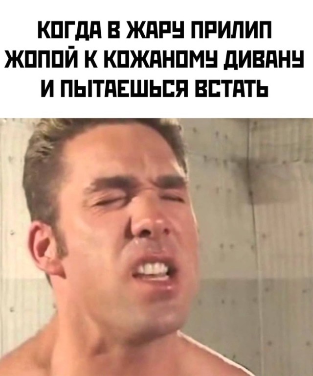Весёлый полтишок 23.06.24