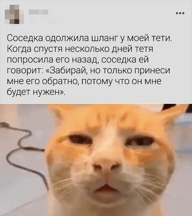 Так себе картинки 26.07.24
