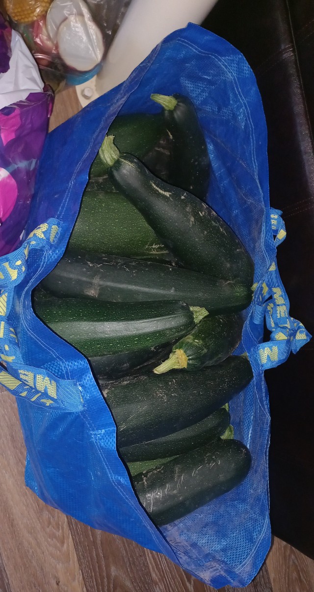 Кабачок