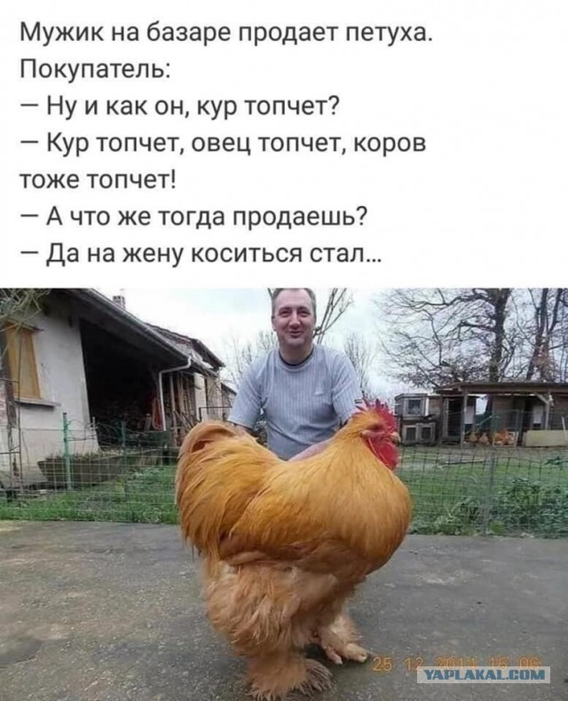Всего понемногу. От 27.09.24