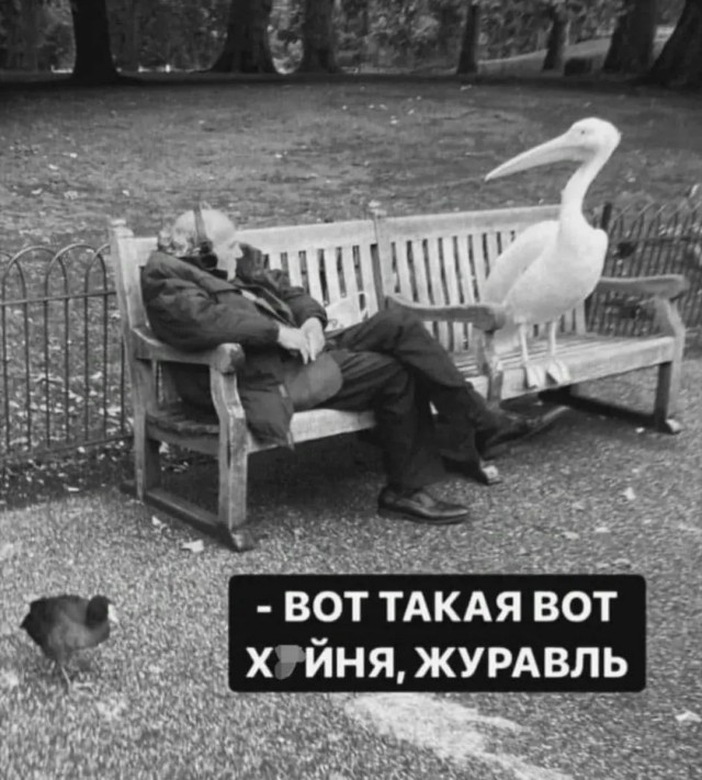 Завалялось тут случайно немного забавных картинок
