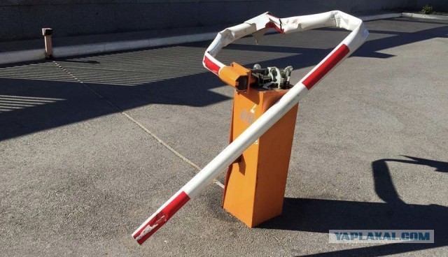 Хорошо зафиксированная китаянка