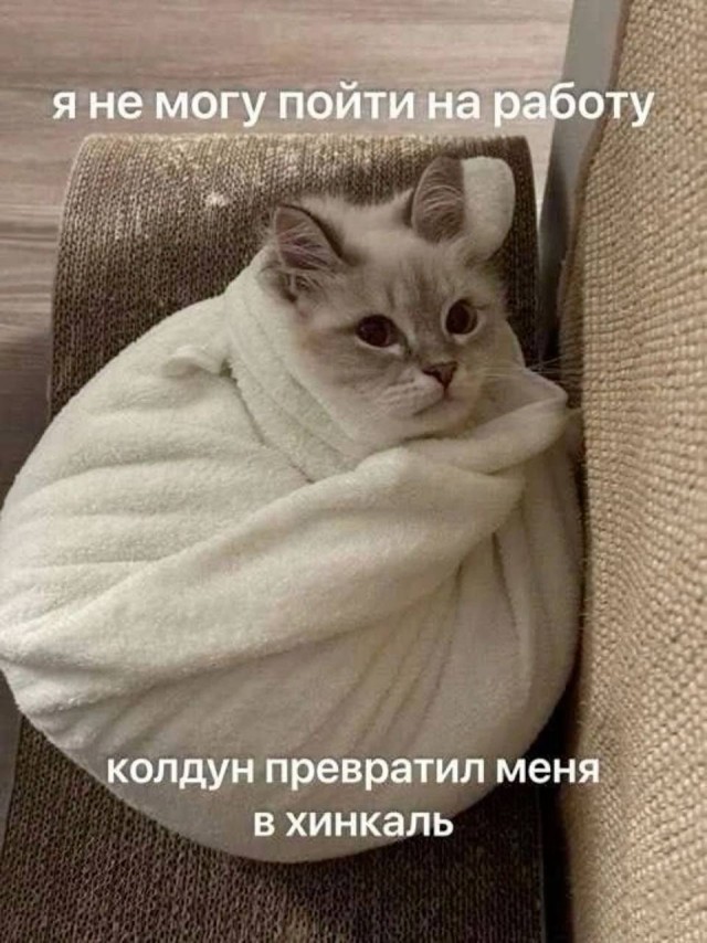 Сегодня отмечается Всемирный день безработных