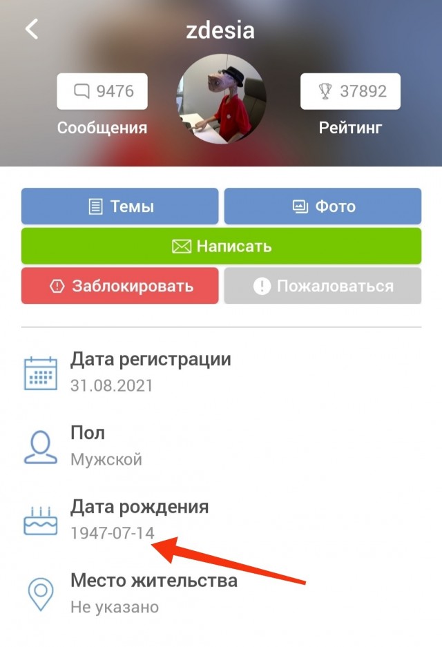 Год назад в приют попала умирающая кошка Василиса