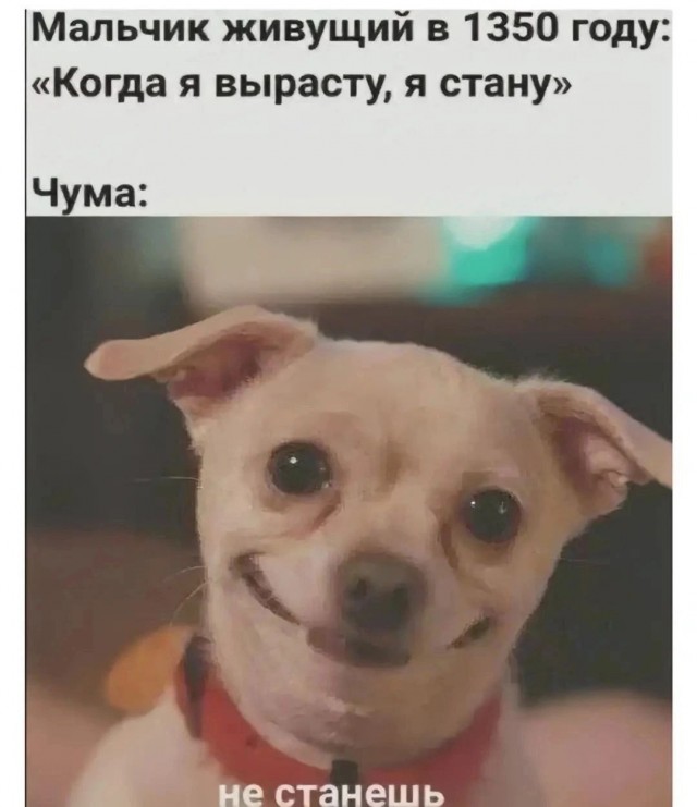 Юмор для тех, кто уже повзрослел и понял, что выходные — это миф