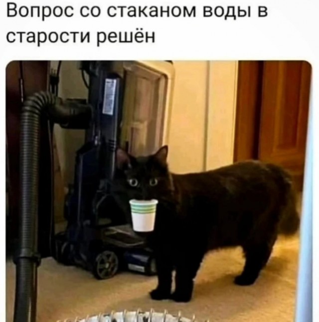 Завалялось тут случайно немного забавных картинок