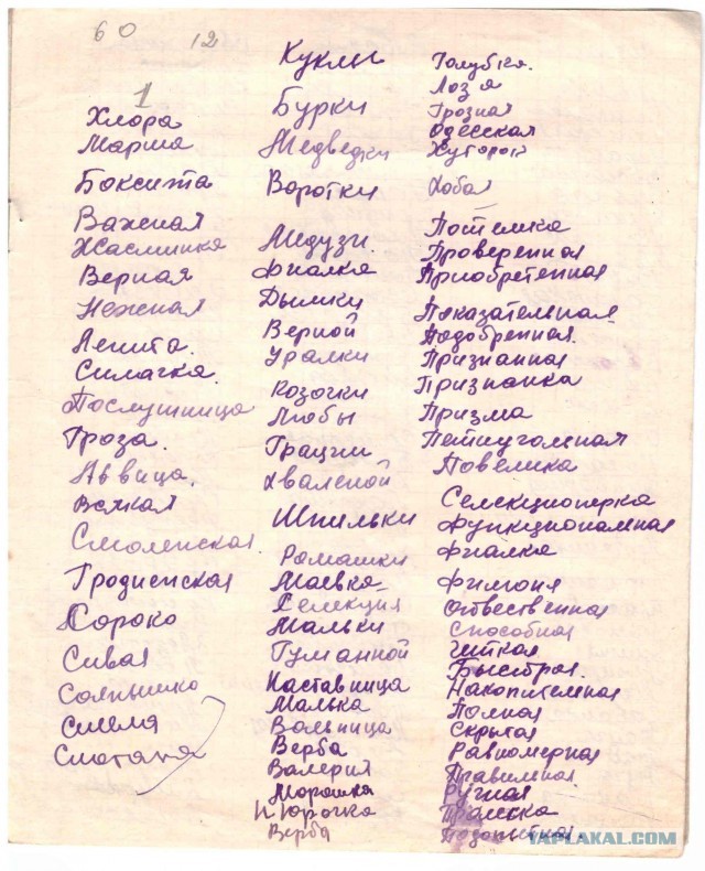 Клички КРС . БССР. 1960-е года