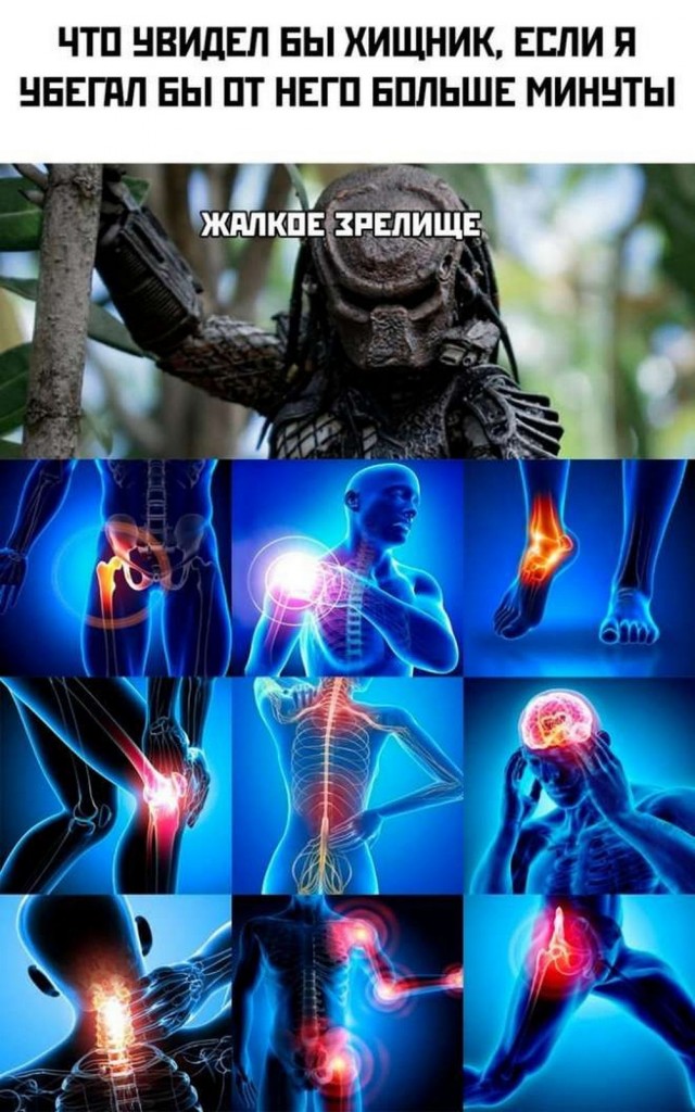Так себе картинки 13.06.25