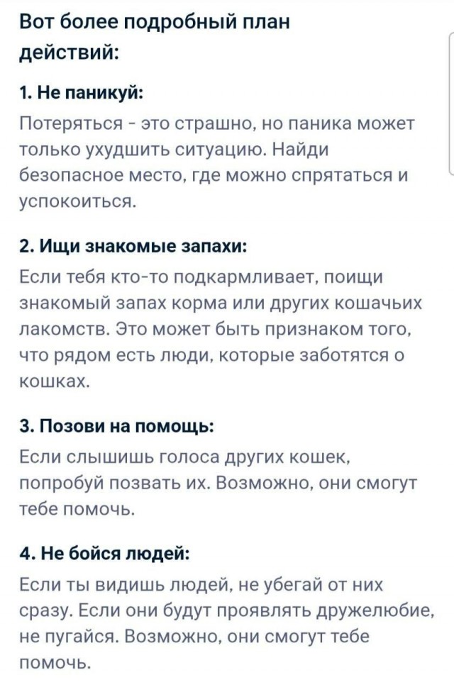 Самый полезный совет от ИИ на сегодня