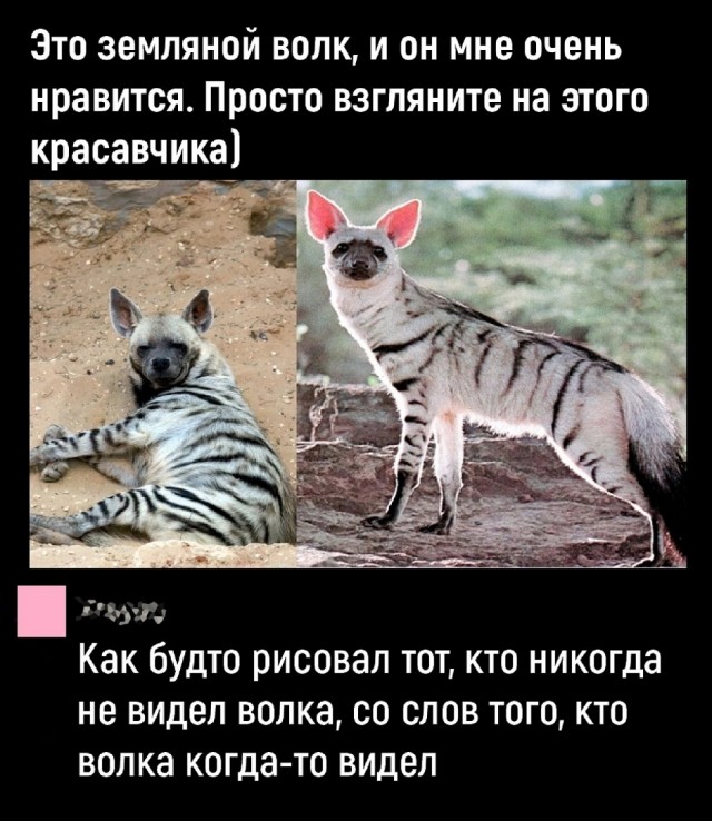 Так себе картинки 01.08.25