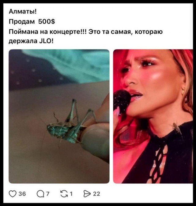 Саранчу с груди Джей Ло продают за 1 млн тенге в Алматы