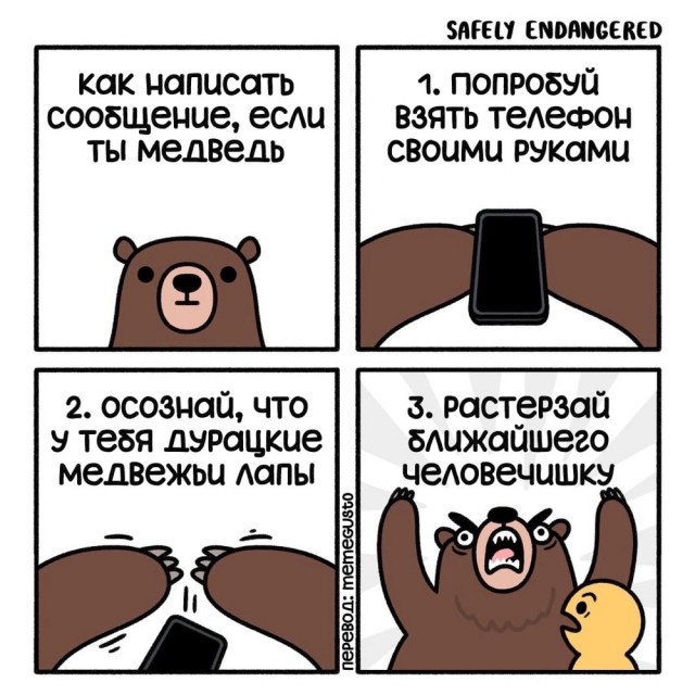 Так себе картинки 11.08.25