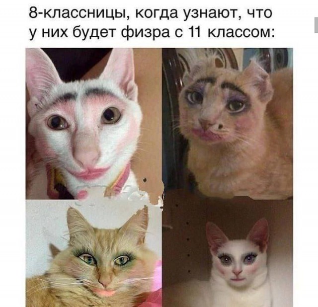 Картинки для деградации 26 (разной степени свежести)