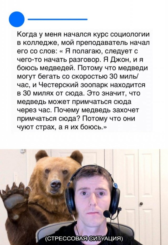 Веселые картинки в пятницу (22.08)