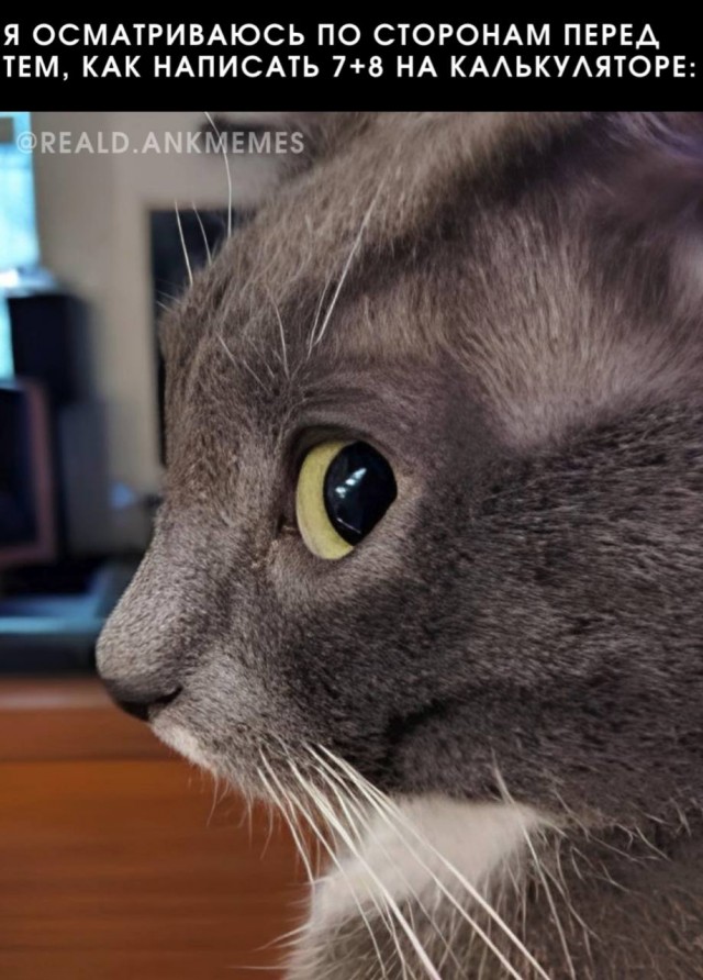 Картинки с надписями