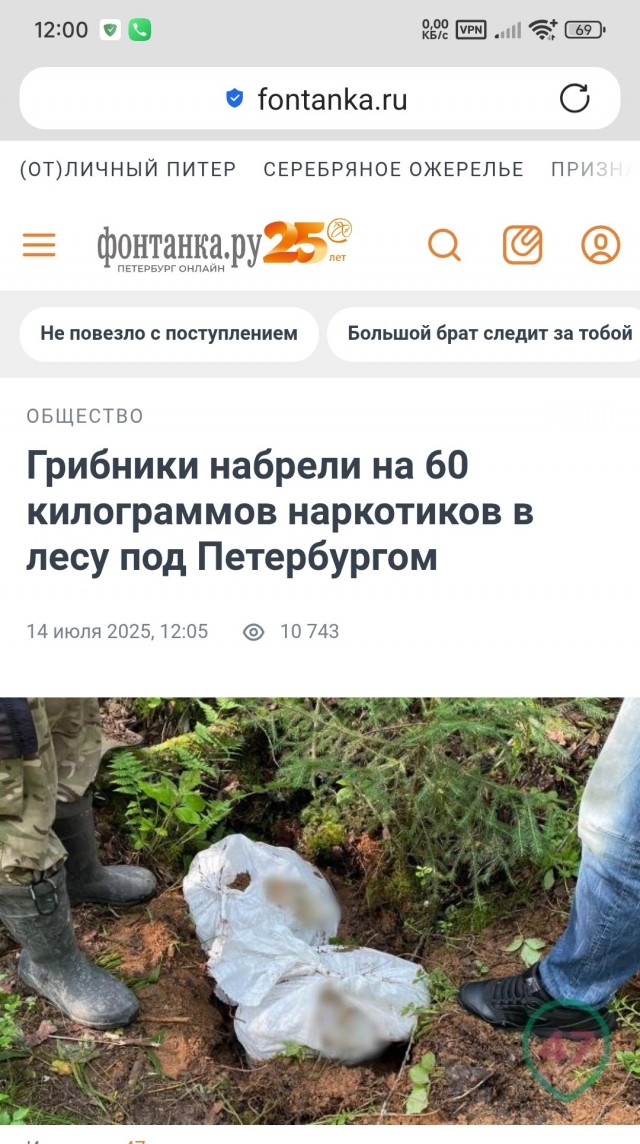 Важнейшие экономические новости: в лесах Сергиево-Посадского района грибники за 3 часа собрали 13,5 кг опят