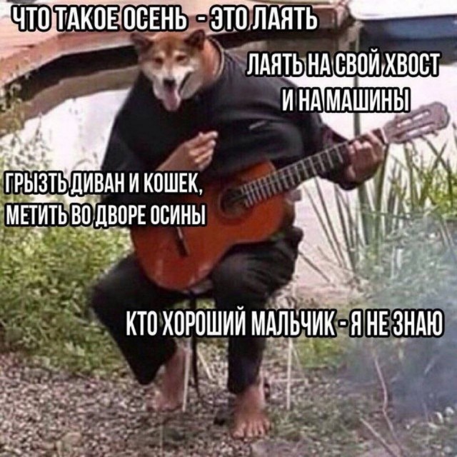 Картинки для деградации 41 (разной степени свежести)