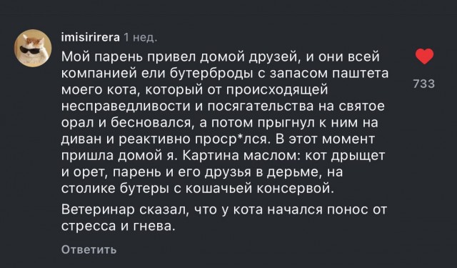 Сердитый кот