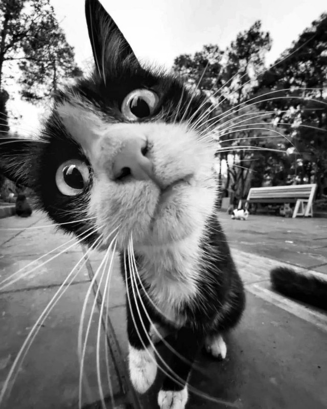 Картинки субботнего утра