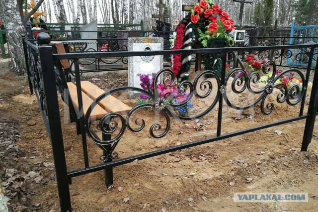 7 мифов о заборах, в которые мы до сих пор верим