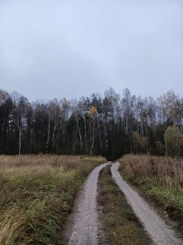 Техас готов к Хэллоуину