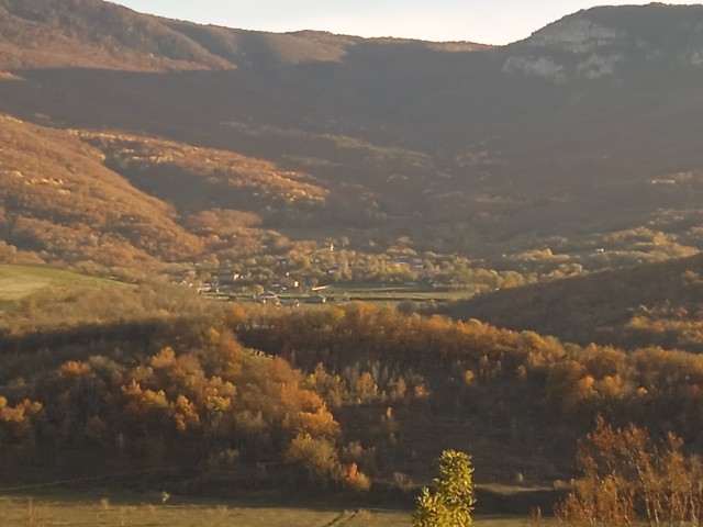 Прогулка по лесу с ножом и блеском в глазах в Крыму