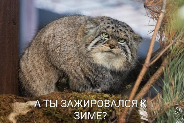 В этом мире есть островок стабильности.