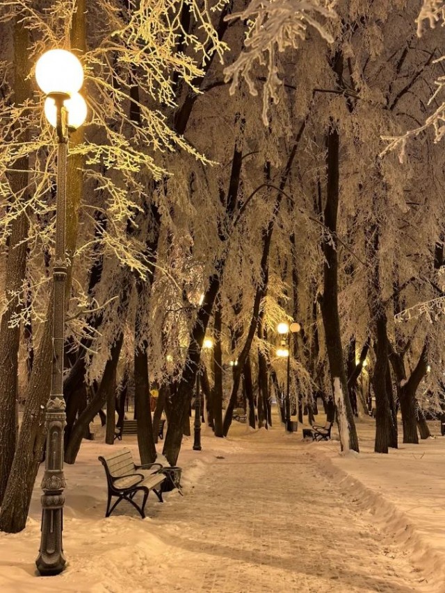 Прикольные и просто красивые картинки 02.12.2025