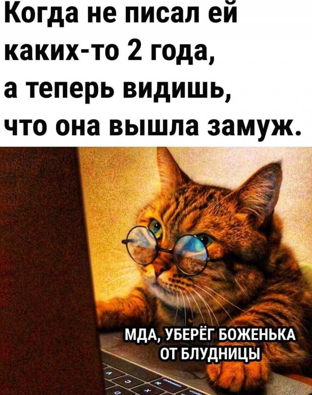 Забавные и не очень скромные картинки - 20