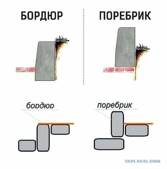Так себе картинки 16.12.25