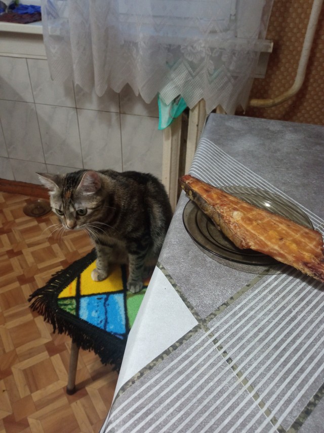 Мои рисунки