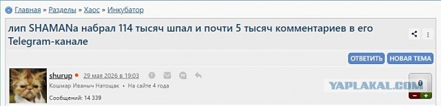 Клип SHAMANа набрал 114 тысяч шпал и почти 5 тысяч комментариев в его Telegram-канале
