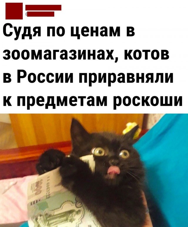 Так себе картинки 27.06.26