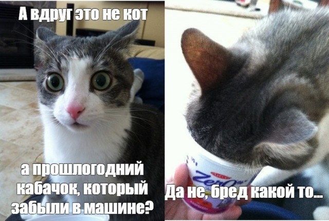 А я вас просил?