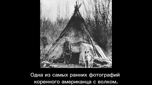 Архивные фото из-за бугра #4