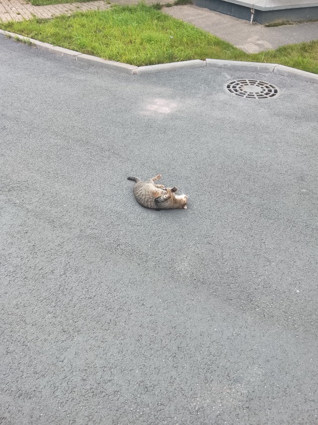 Нужен новый совет.