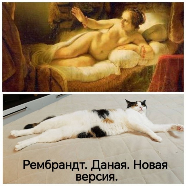 Вместо мозга — аппендикс