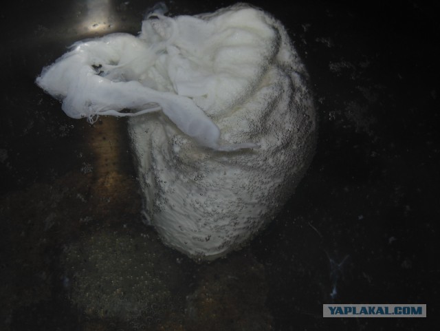 Яйца пашот
