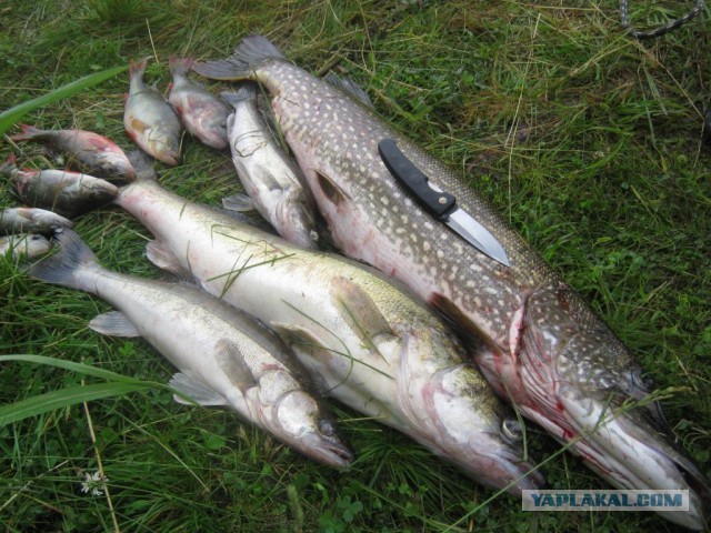 Как я отдыхаю